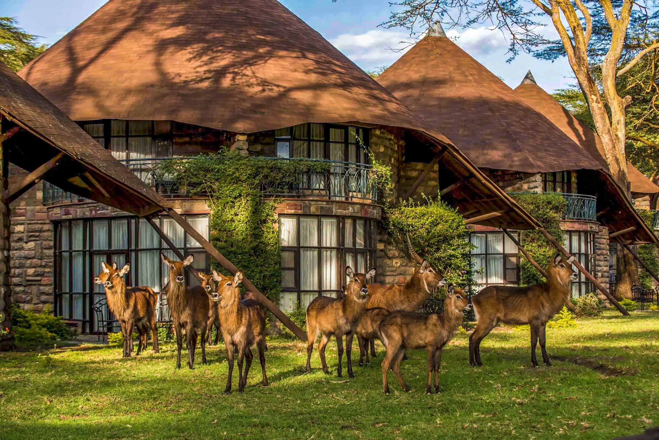 Mara Sopa Lodge
